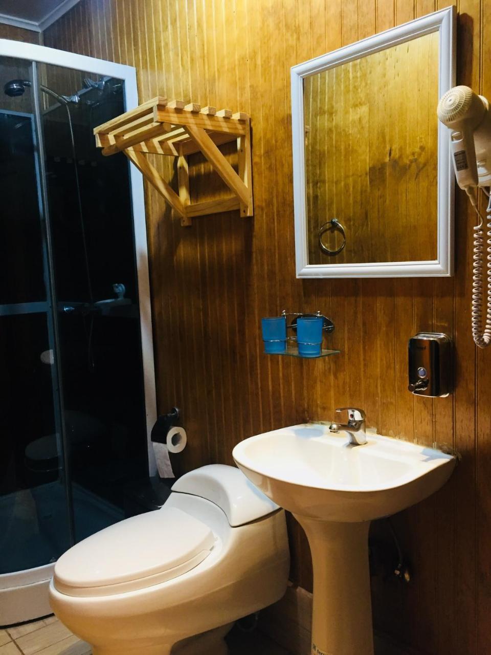 פואנטה ארנס Hostal Chalet Las Violetas מראה חיצוני תמונה